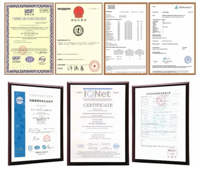 John Crane Mechanical Seal Type 1 de Verbindingenjohn van Elastomeerblaasbalgen mechanische verbinding van het kraantype 1 voor waterpompen 3