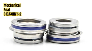 Mechanische afdichting C16A31HVH-2