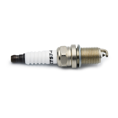 kopen Industriële vlammen 7321 7322 FR3KII332, 0242255511 voor gasmotoren online vervaardiging