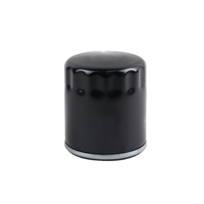 De aangepaste Filter van de Motorolie voor FORD OE nr. D4ZZ-6731-B E9NN-6714-AA D5ZZ-6731-C