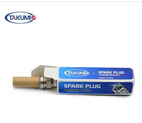 Industriële Bougie 12453566 12344841 van s-R6A19 Prechamber voor MWM TCG 3016