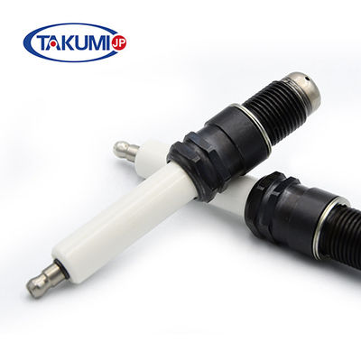 R6G1-77 7664604 7664685 7664.291 76.64.292 Biogas Generator Spark Plug 7664291 7664356 7664416c voor Guascor Motor