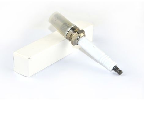 Industriële Bougie R10P3 van de fabrieks de Directe Verkoop voor Motoren jenhach-ER