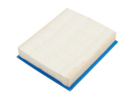 Van de de Luchtfilter van de filtratieauto de Vervangingsoem Standaardgrootte voor BMW 13711736675