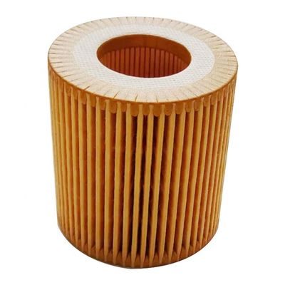 De Filterelement van de Motoronderdelenolie voor Ford BB3Q6744BA