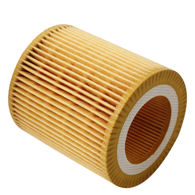 Het Element van de oliefilter voor BMW-OEM 11427566327